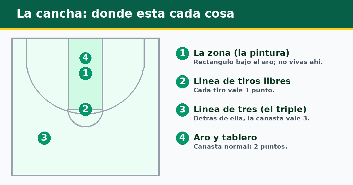Esquema de media cancha de baloncesto: la zona o pintura, la línea de tiros libres, la línea de tres y el aro con el tablero