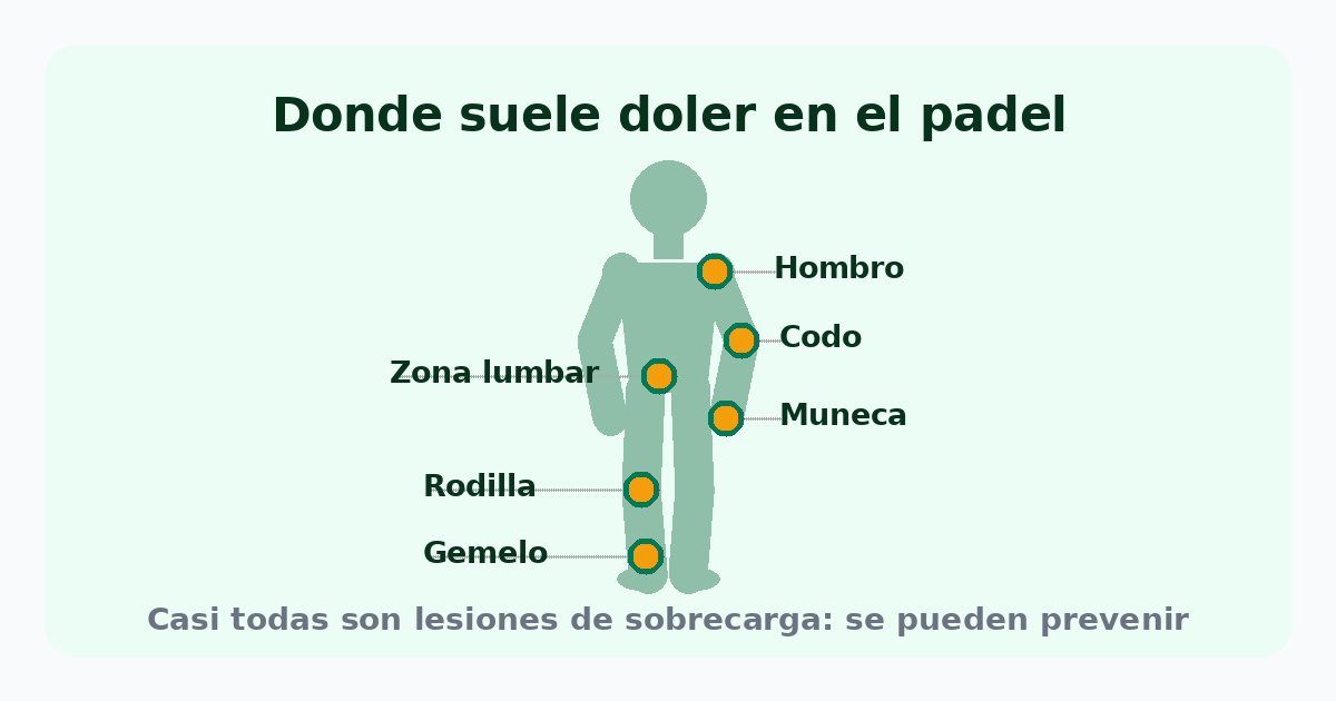 Mapa de las zonas donde más duele en el pádel: hombro, codo, muñeca, zona lumbar, rodilla y gemelo