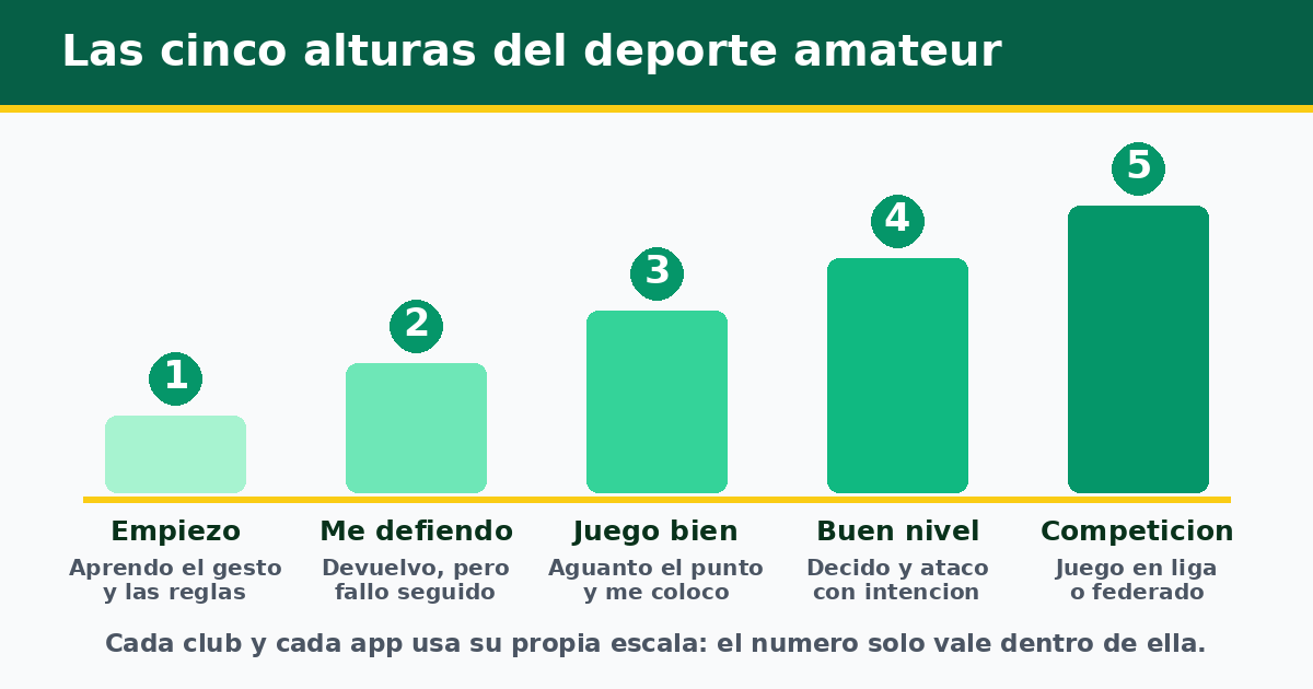 Escala de cinco niveles del deporte amateur: empiezo, me defiendo, juego bien, buen nivel y competicion, con la advertencia de que cada club usa su propia escala