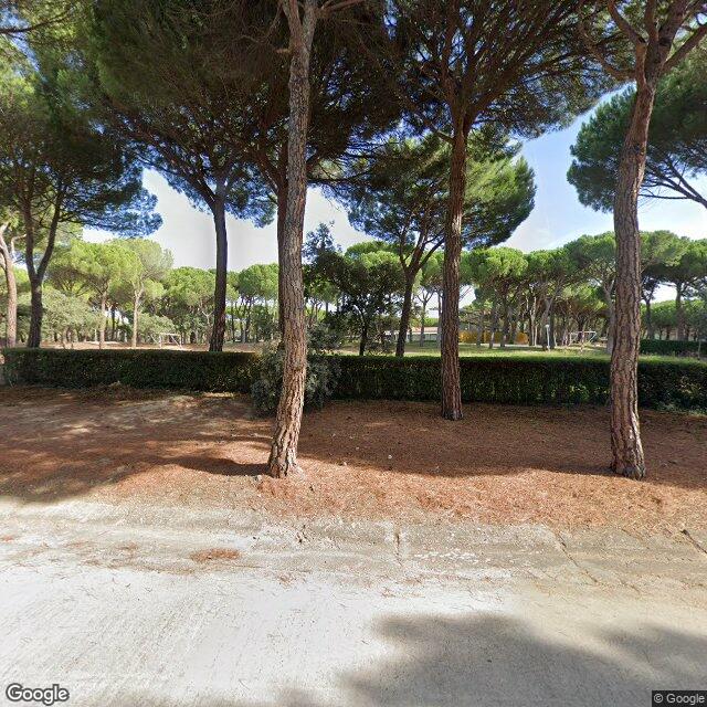 Foto de Pista en las Pistas