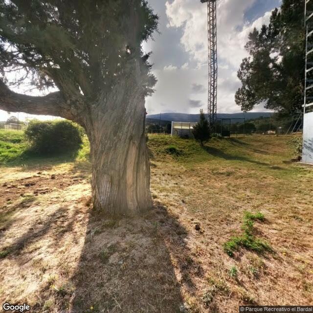 Campo del Bardal