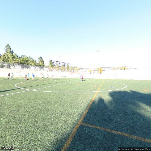 Camp de futbol