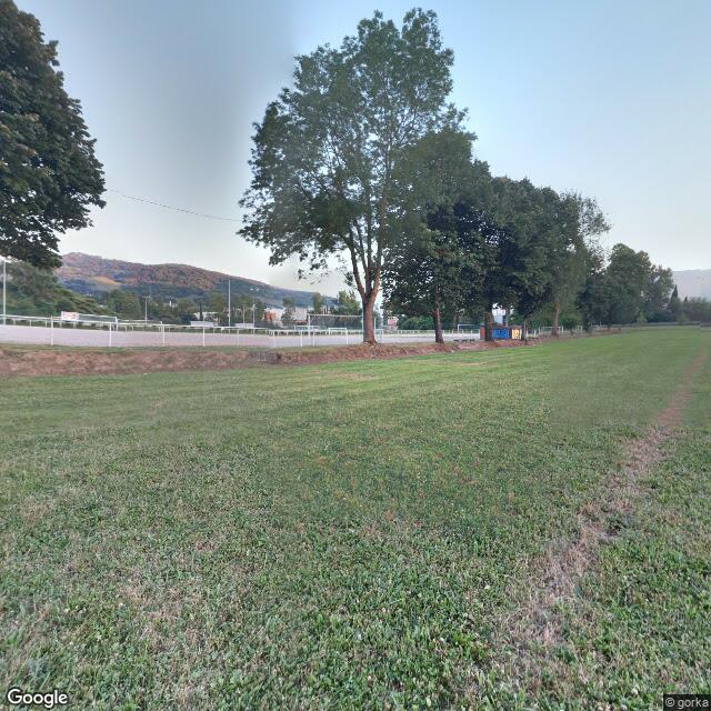 Futbol zelaia
