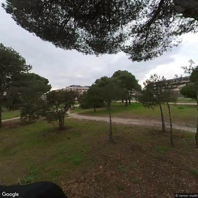 Pista en Huerto