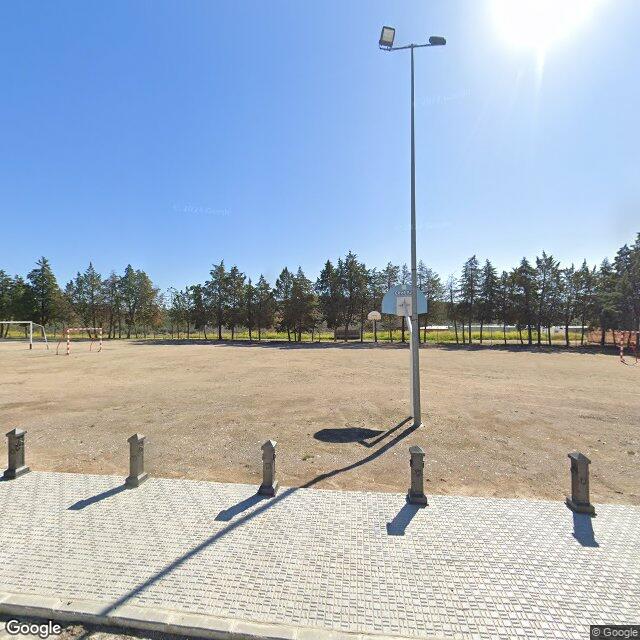 Pista en Pinos