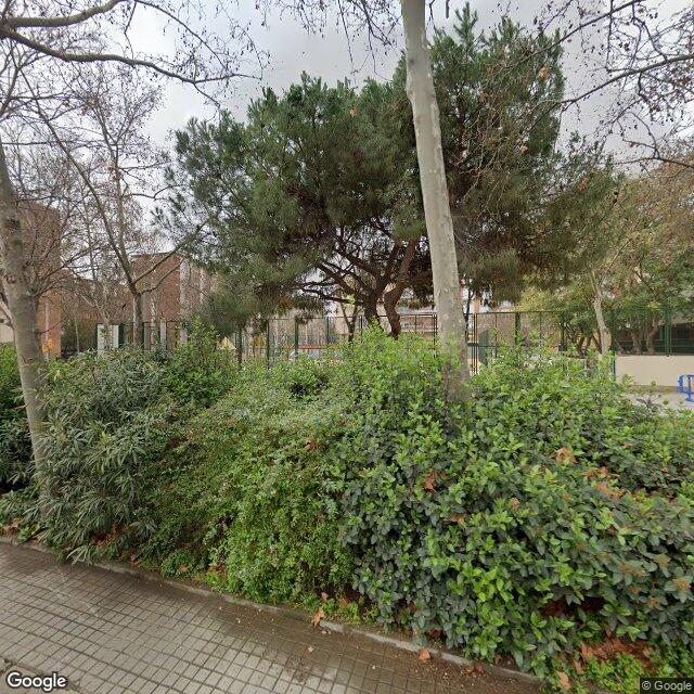 ESCOLA PALMA DE MALLORCA