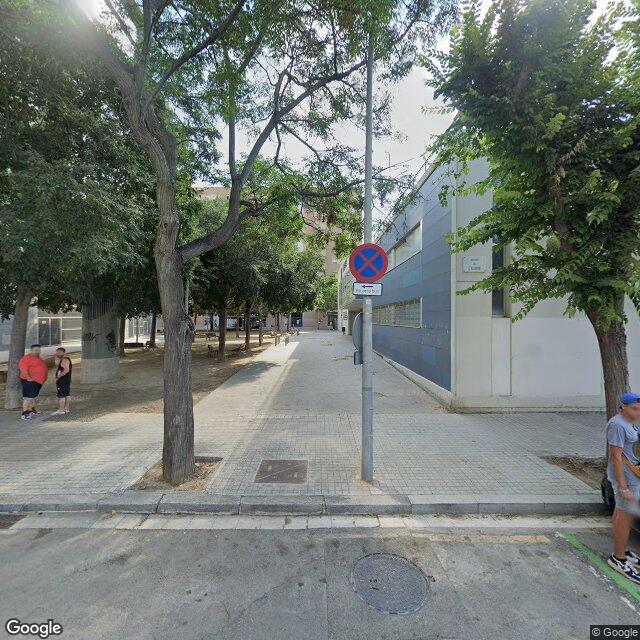 INSTITUT LLUIS DOMÈNECH I MONTANER