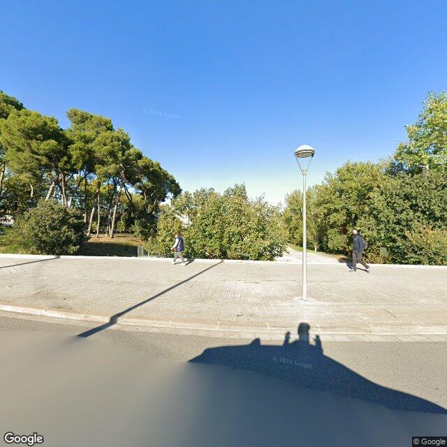 PISTES SKATE VINYES VELLES