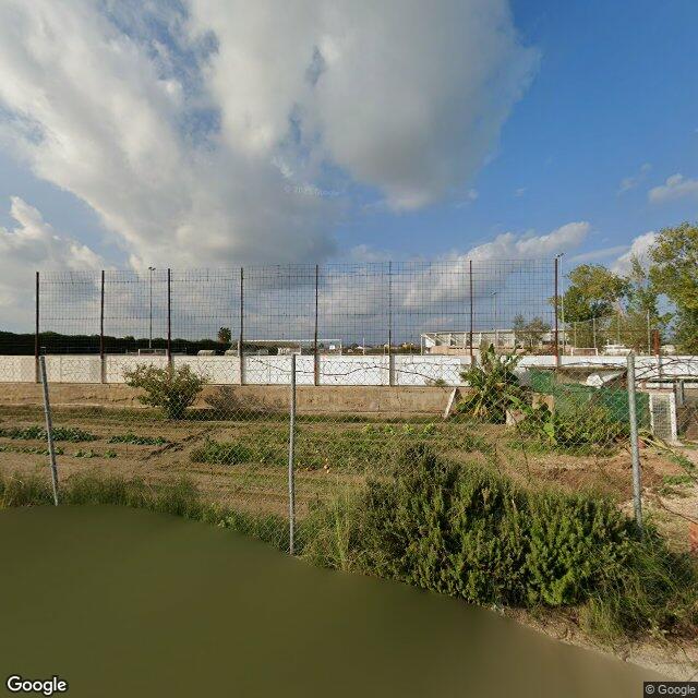Camp de futbol