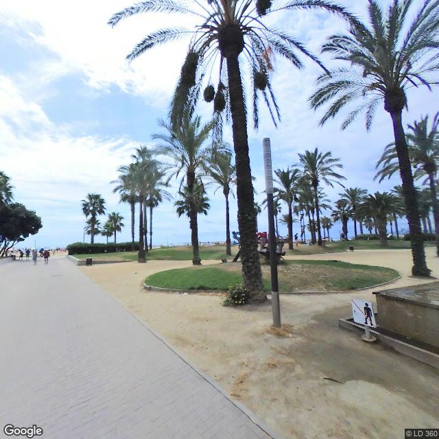 ZONA ESPORTIVA DE PLATJA (ZEP)