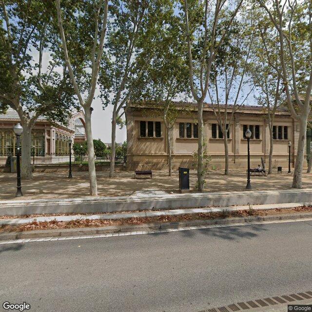 PISTA PETANCA PICASSO