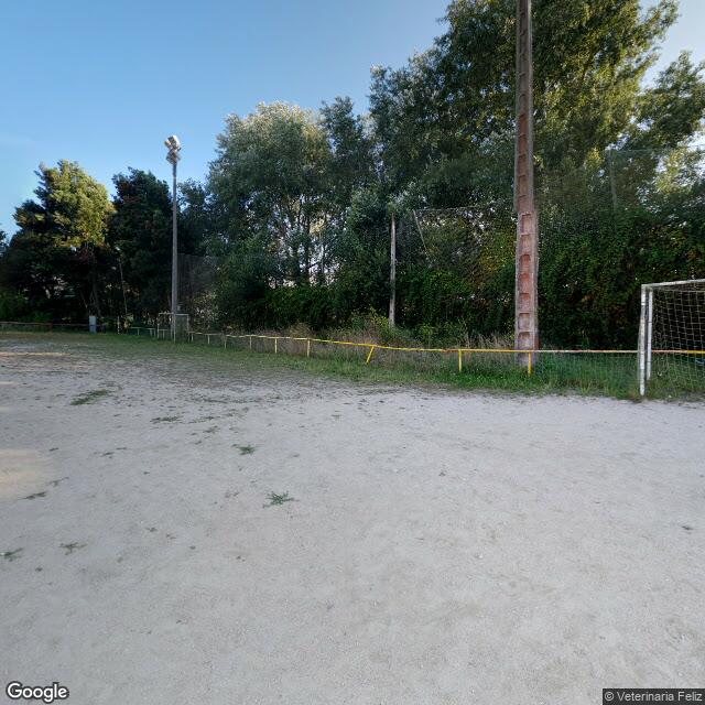 Pista en Camiño de Canido