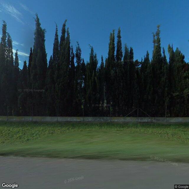 Pista