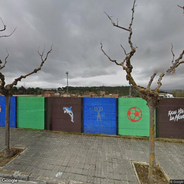 Pista en l'Estadi